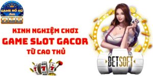 Game Slot Gacor – Những kiến thức cá cược cơ dành cho newbie